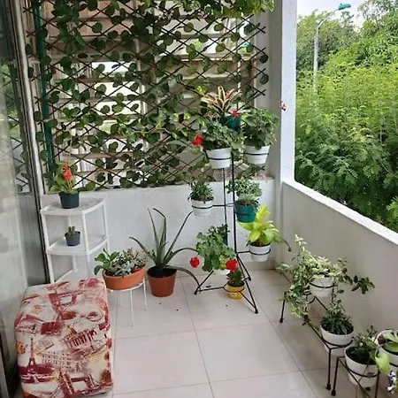 Apto 3 Alcobas, Segundo Piso Norte De Cali Exterior photo
